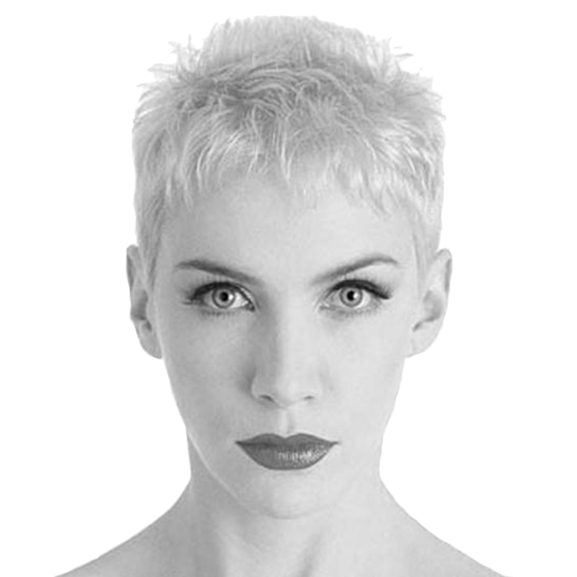 A headshot of American singer and Eurythmics member Annie Lennox representing the Pop/New Wave genre