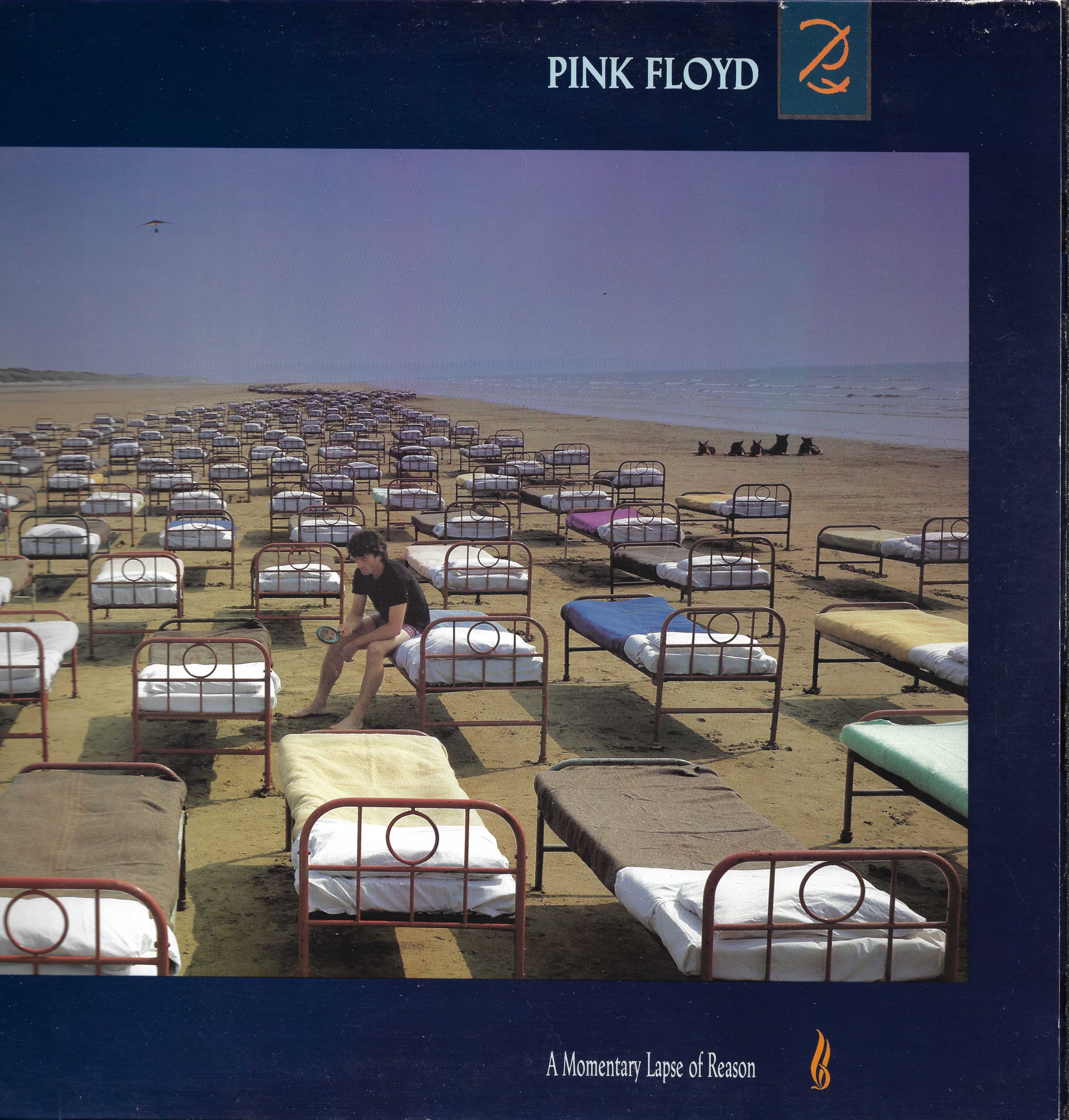 A Momentary Lapse Of Reason