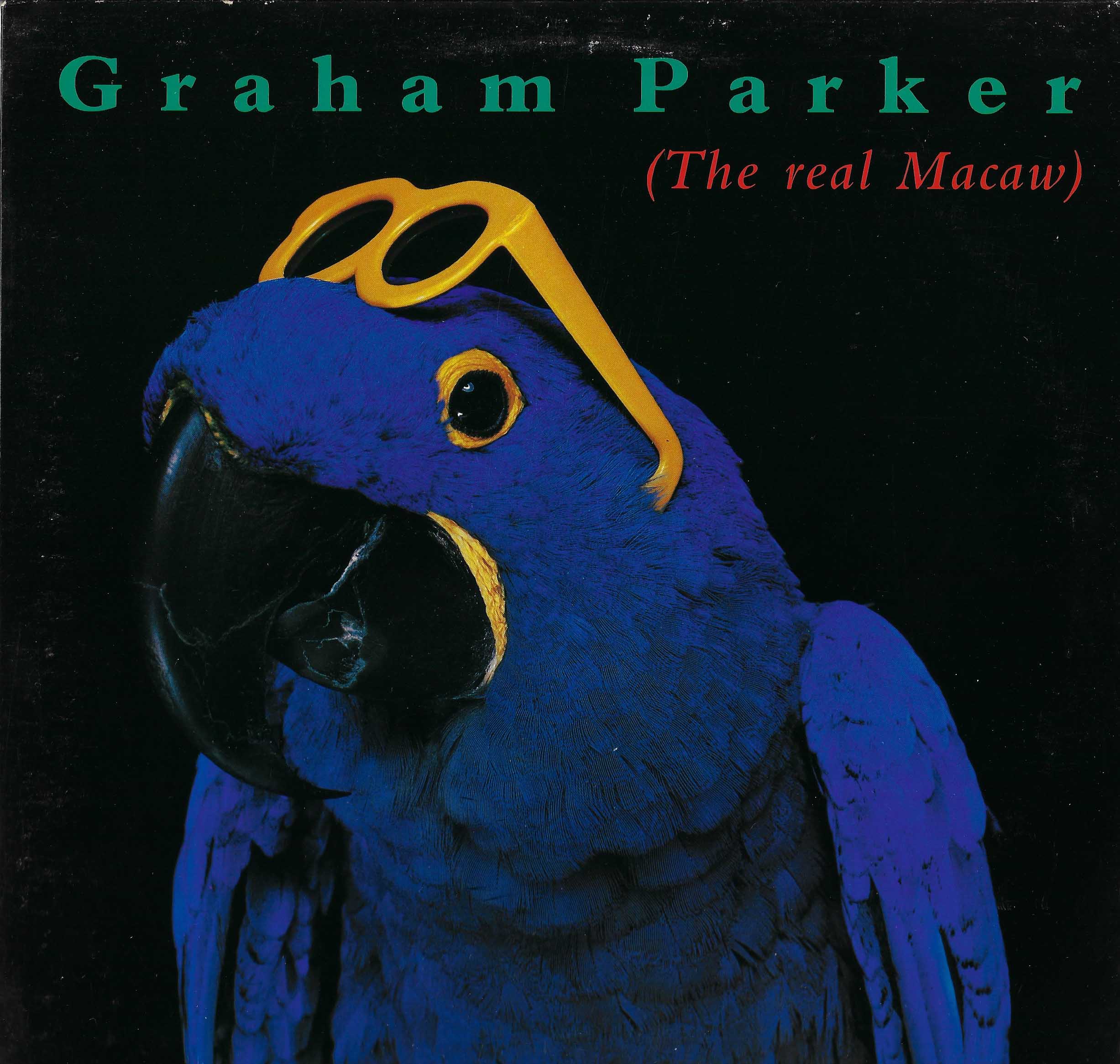 The Real Macaw
