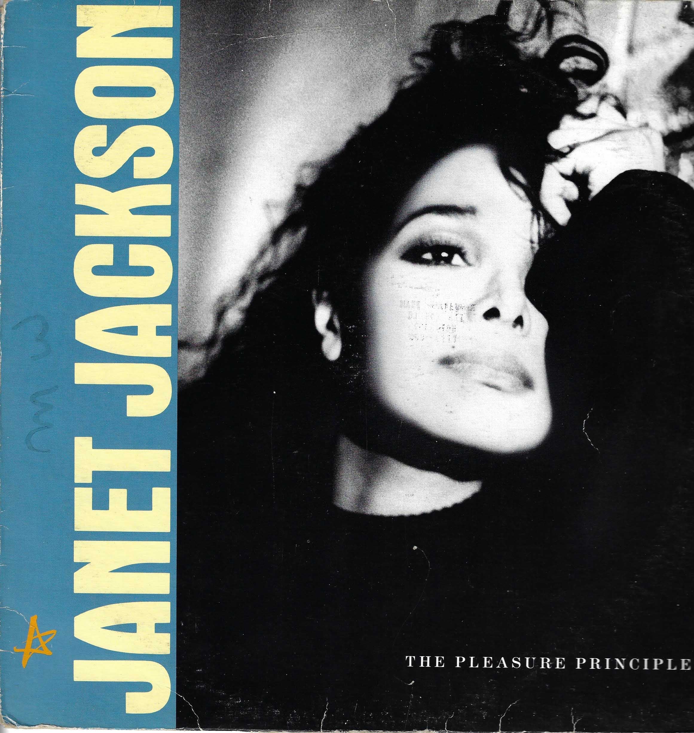 The Pleasure Principle (12" Single)