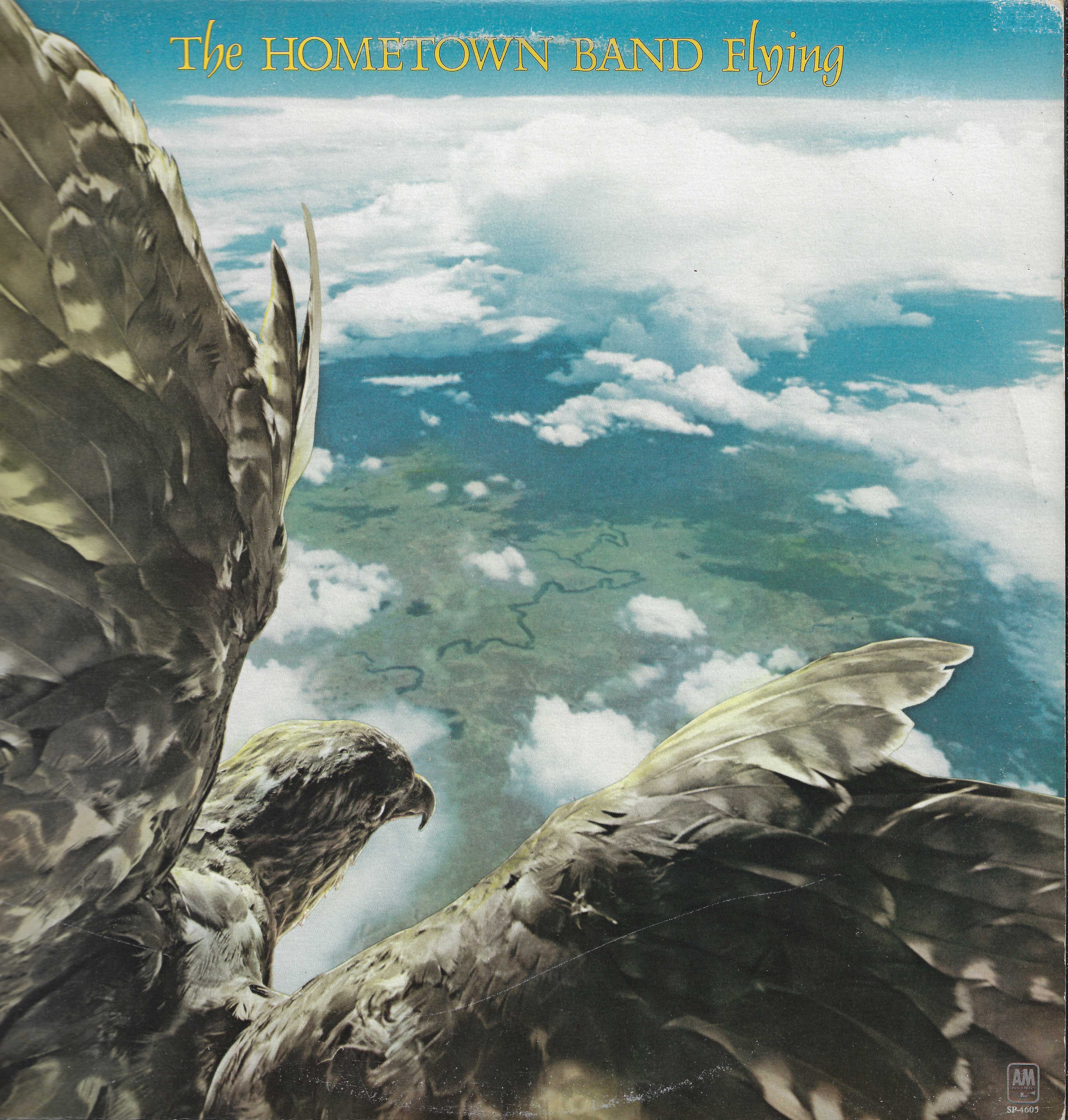 Flying