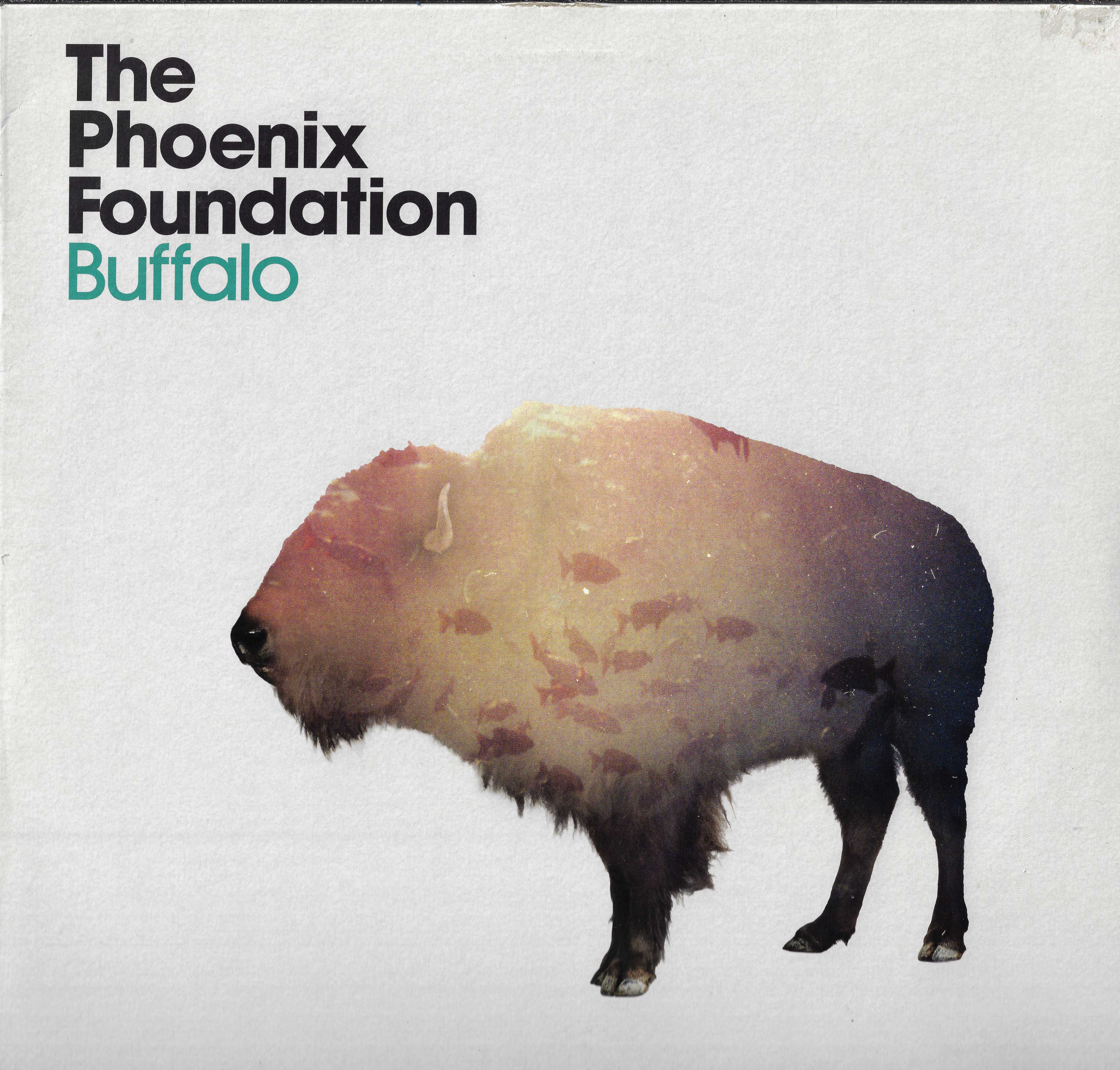 Buffalo