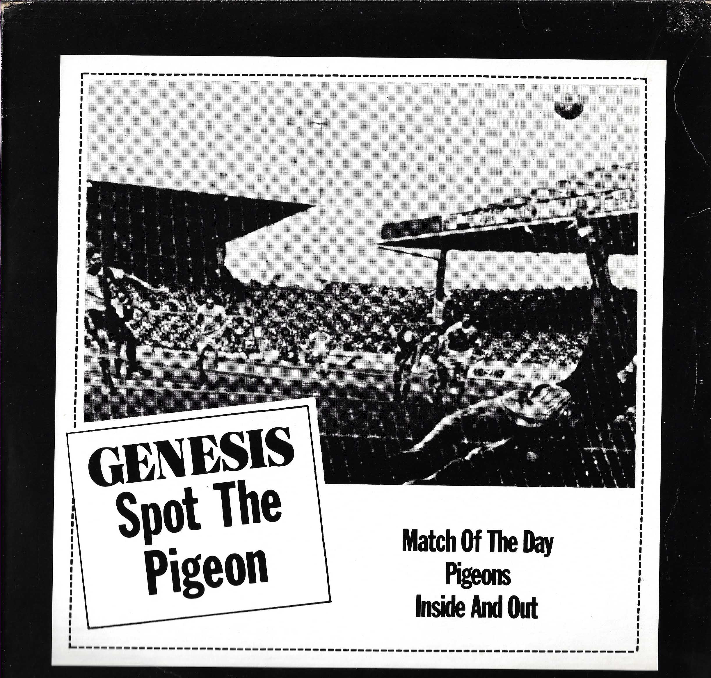 Spot The Pigeon