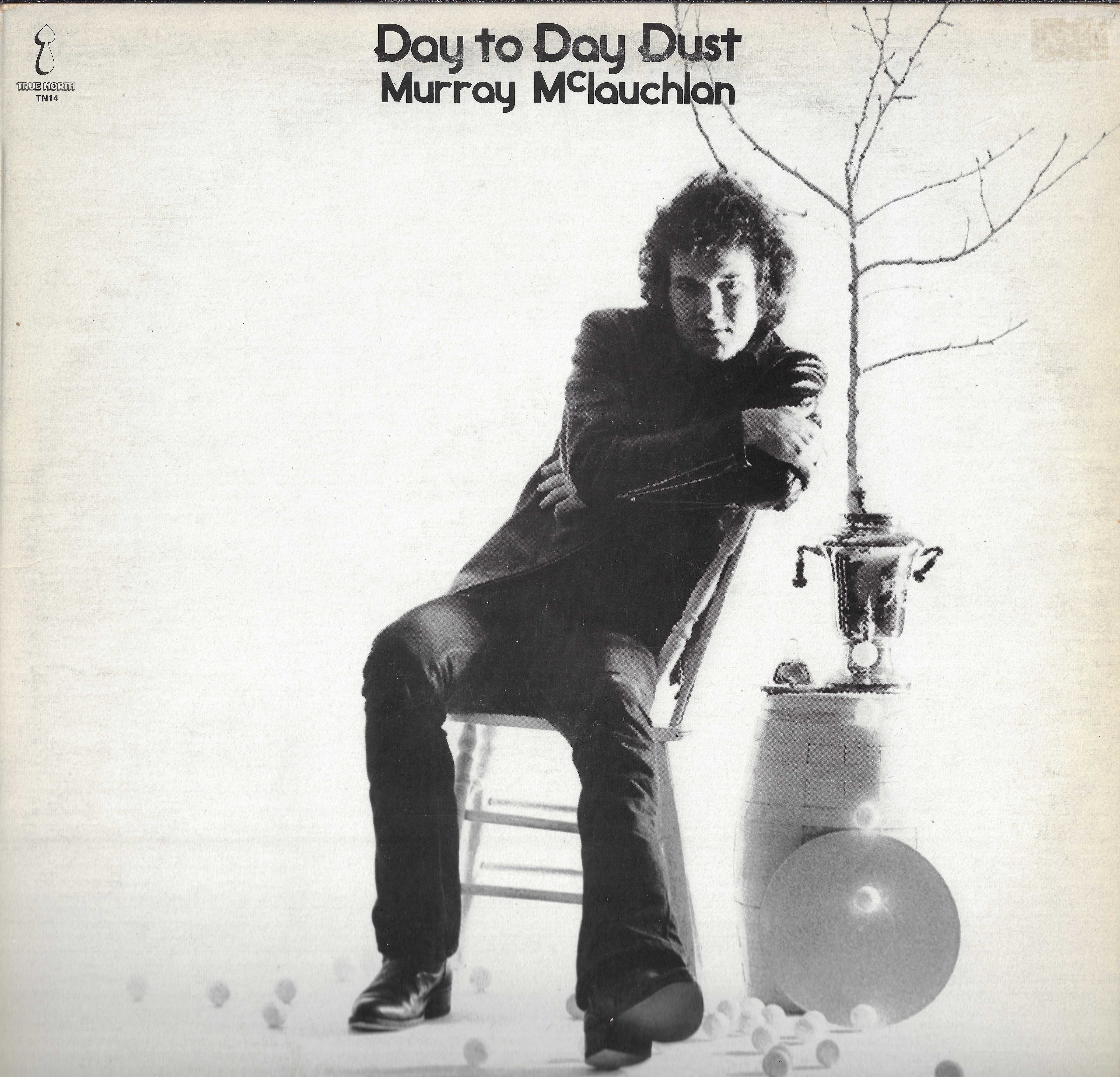 Day To Day Dust