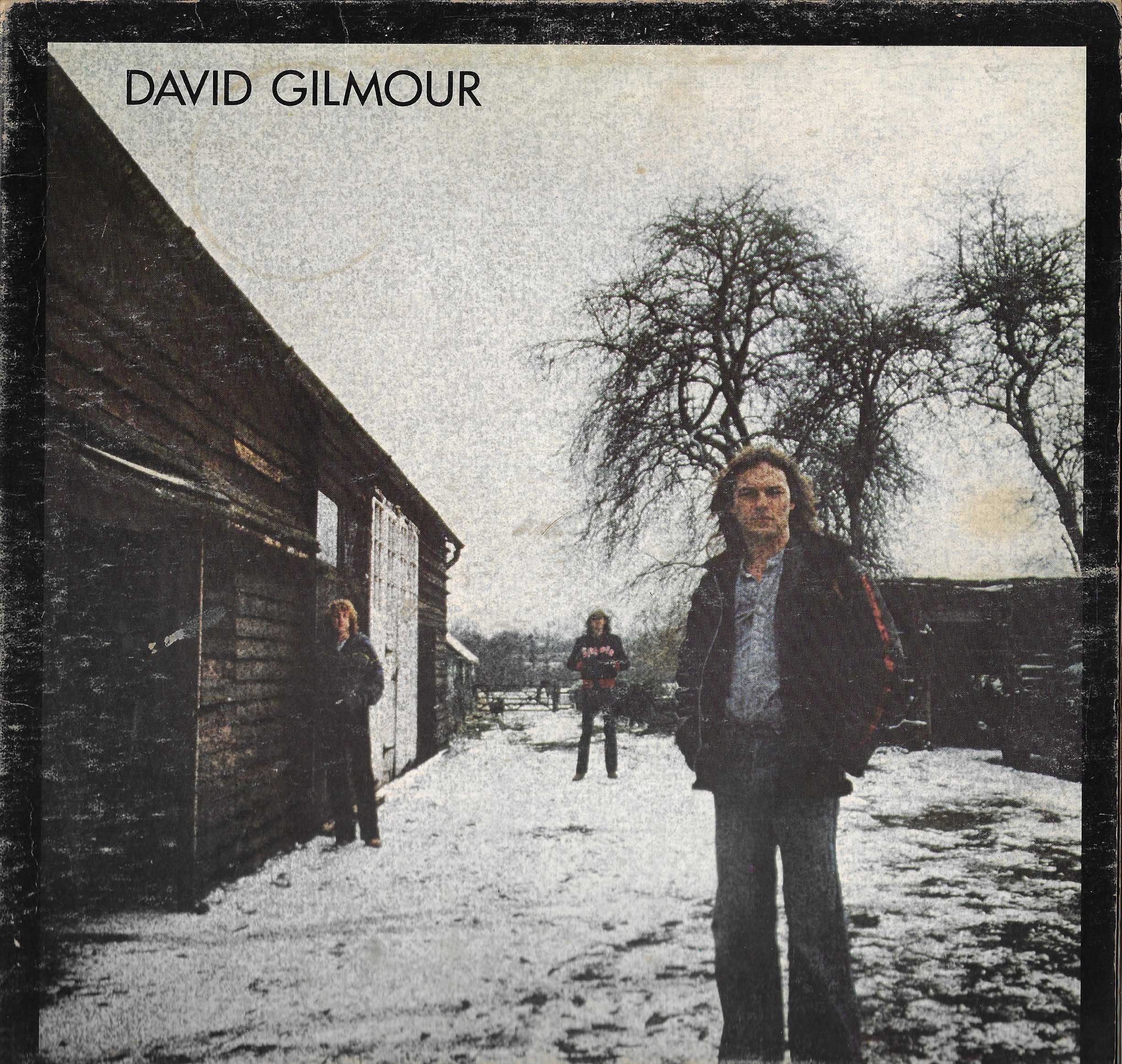 David Gilmour