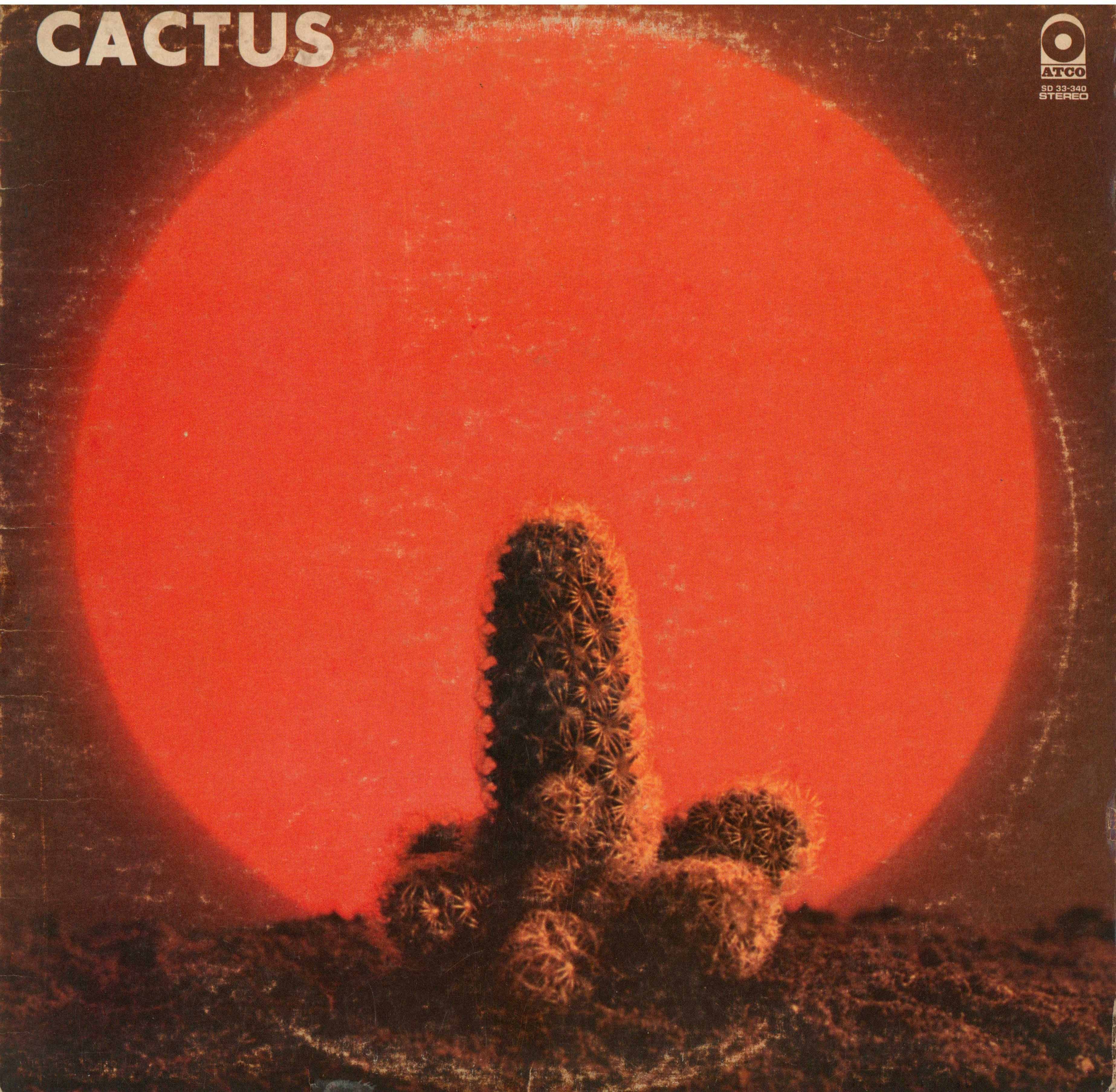 Cactus