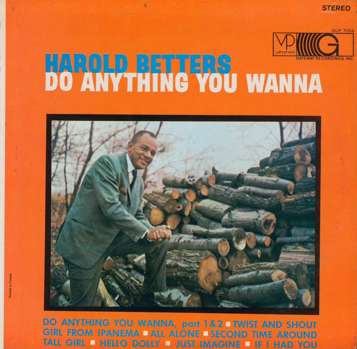 Do Anything You Wanna