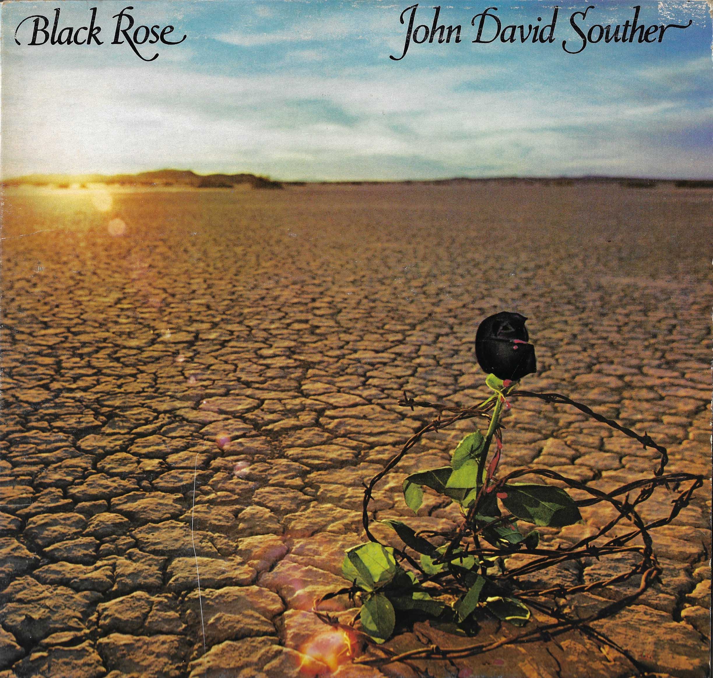 Black Rose