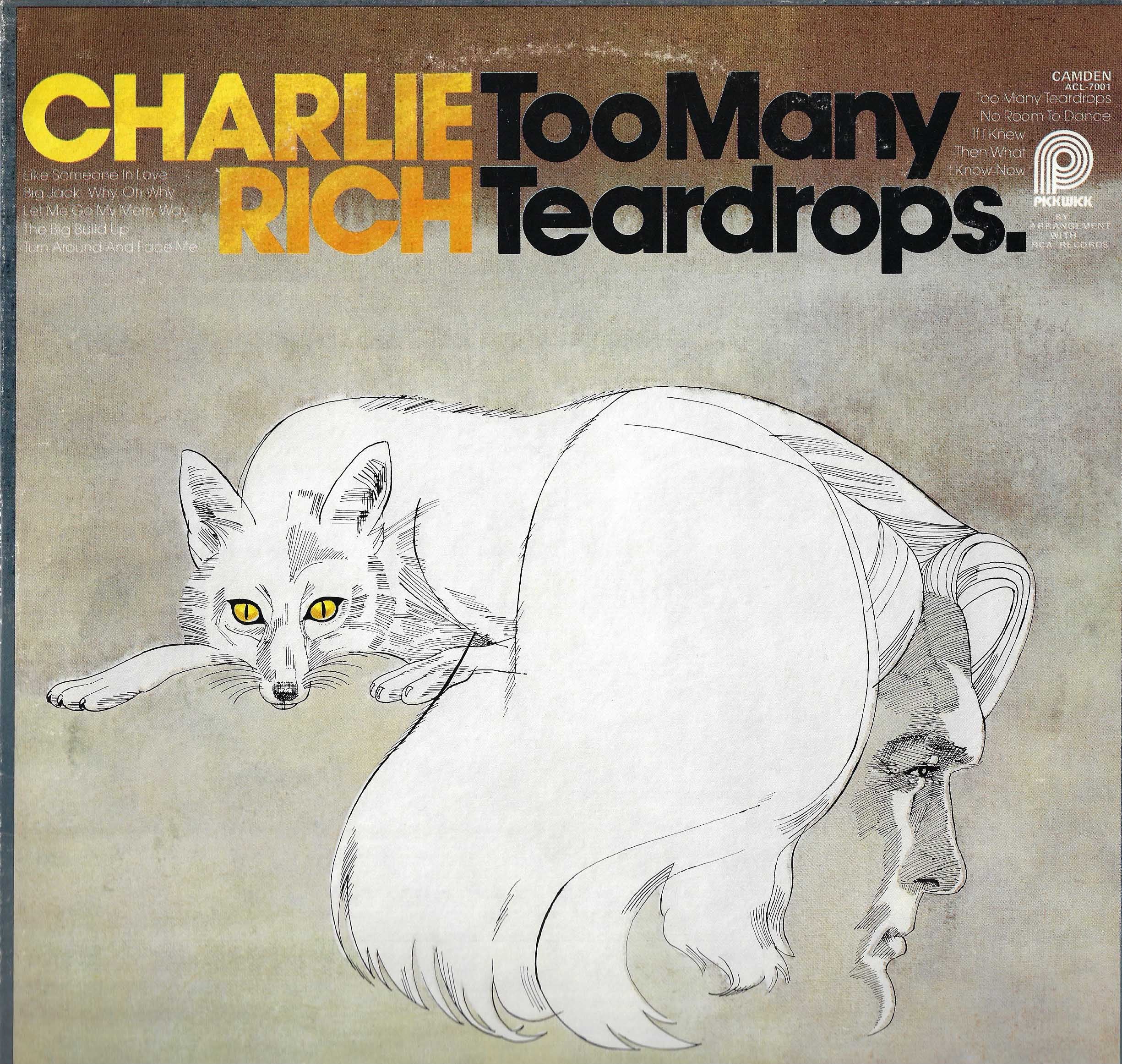Too Many Teardrops