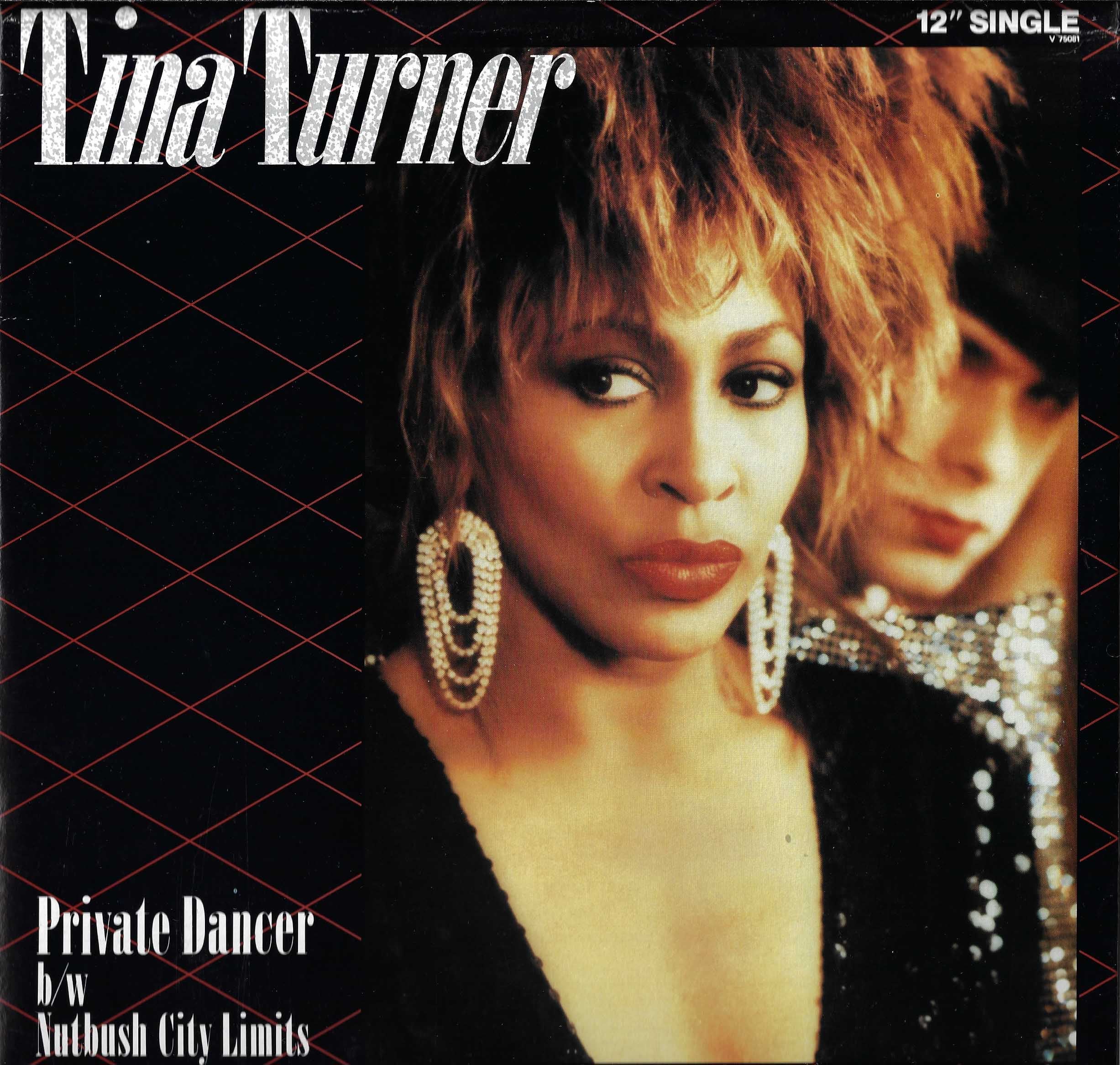 Private Dancer (12" Single)